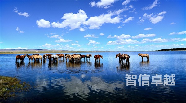 醫(yī)學(xué)翻譯公司-專業(yè)正規(guī)的日語醫(yī)學(xué)翻譯