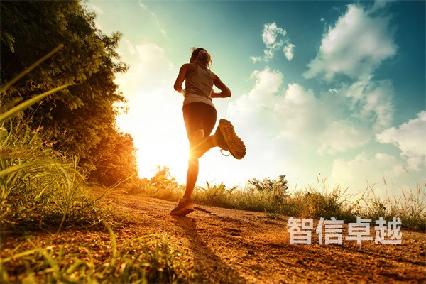 法律翻譯-荷蘭語法律翻譯