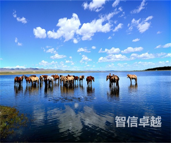 專(zhuān)業(yè)的越南語(yǔ)翻譯-專(zhuān)業(yè)的越南語(yǔ)翻譯公司